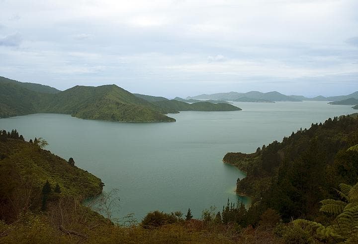 Marlborough sounds
